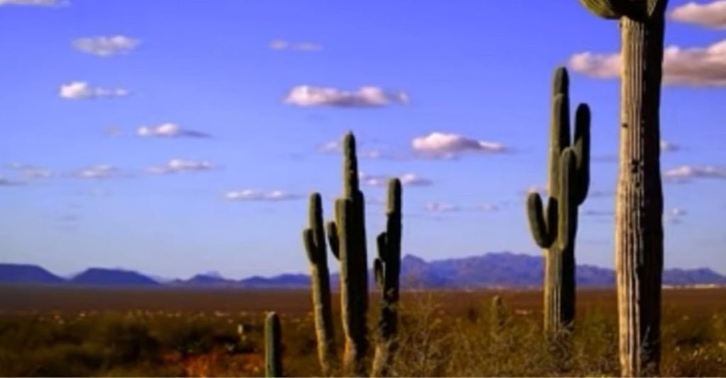Best Songs About Arizona